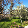 Отель Villa Serapis Aletraki Off grid, фото 9