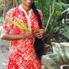 Отель Eden Garden Ayurvedic Health Retreat, фото 20