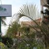 Отель Sommerschield Guest House & Restaurant, фото 10