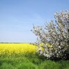 Отель Juliusruh Breege in Breege, фото 12