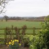 Отель Little Holtby B&B, фото 17