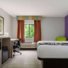 Отель La Quinta Inn by Wyndham Birmingham - Inverness, фото 10