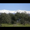 Отель Casas El Molino, фото 1