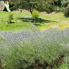 Отель El Porxo de Can Baixeres, фото 27