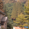 Отель YOU HOUSE Mogan Youjia B&B (Mogan Mountain Scenic Area), фото 19