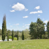 Отель Villa Lena, фото 26