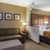 Отель Comfort Suites Marshall, фото 5