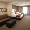 Отель Comfort Suites Hotel and Conference Center, фото 32