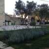 Отель Masseria Spartivento, фото 15