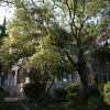 Гостиница Олива Парк, фото 6