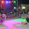 Отель Rajasthan Adventure Resort, фото 3