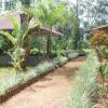 Отель Homestay with parking in Kodagu, by GuestHouser 50017, фото 11