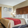 Отель Comfort Inn Cranberry Township, фото 7