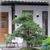 Отель Hongcun Muye Yunyin  Homestay, фото 11