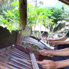 Отель Bali Jungle Resort, фото 12