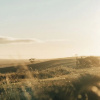 Отель Wander On Kangaroo Island, фото 11