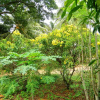 Отель Stella Maris B&B, фото 6