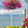 Отель The Waterfront Gray on Alki Beach EXT Stay, фото 1
