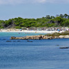 Отель Aparthotel Isla de Cabrera, фото 33