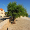 Отель Piv - 10 m From Beach - A2, фото 17