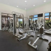 Отель NEW Modern 1BR 1BA Gold Coast Pool GYM Tennis, фото 16