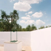 Отель Masseria Cervellera, фото 8