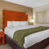 Отель Comfort Inn, фото 7