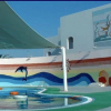 Отель Yanbu Arac Resort - Families Only, фото 12