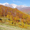 Отель Hakuba Ski-Kan, фото 9
