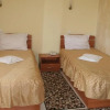 Отель Pensiunea Pelicanul, фото 6