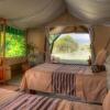 Отель Losokwan Luxury Tented Camp - Maasai Mara, фото 2