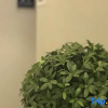 Отель Home Inn Selected (Shenyang Zhongjie Henglong Plaza), фото 9