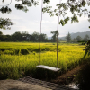 Отель Le Kuna Farm Stay, фото 20