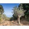 Отель EcoAgriturismo Notti Stellate Etna Mare, фото 5