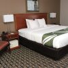 Отель Quality Inn & Suites Detroit Metro Airport, фото 49