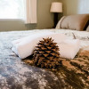Отель Pinecone Getaway, фото 14