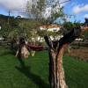 Отель Quinta Ribeira do Labrador - Lisbon West Wine Route, фото 17
