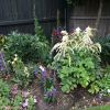 Отель Garden Bed and Breakfast, фото 4