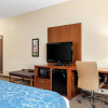 Отель Holiday Inn Express Hotel & Suites Pine Bluff, фото 4