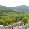 Отель Seek Paradise · Shitang Hostel, фото 2