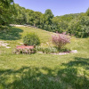 Отель Butterfly Hollow B&B, фото 13