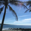Отель Coconut Beach Homestay, фото 19