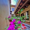 Отель Central Bougainvillea, фото 16