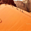 Отель Wadi Rum Silk Road Camp, фото 8