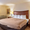 Отель Quality Inn & Suites Downtown - University Area, фото 5