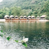 Отель Hoi Lake Farmstay, фото 24