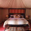 Отель Night Desert Camp, фото 4