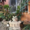 Отель Casa Las Brisas Mérida, фото 43