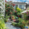 Отель Dali Meet you Homestay, фото 1