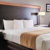Отель Comfort Inn & Suites Near Universal - N. Hollywood - Burbank, фото 44